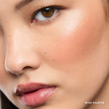 Ambient Lighting Edit Unlocked Palette WISH - SEPHORA SALE (Bajo Pedido)